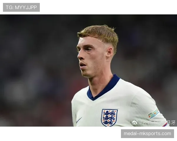 帕尔默与贝林厄姆进攻角色及战术适配性对比分析